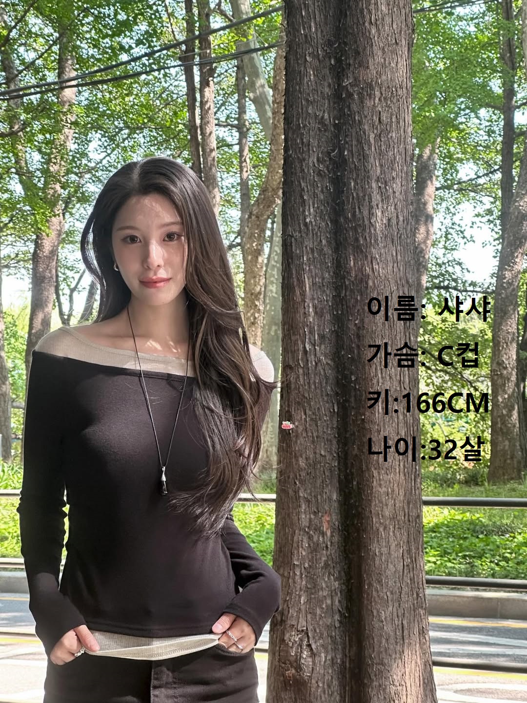 아트미 경주 관리사 샤샤